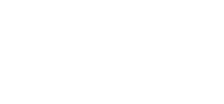 Cellularline Türkiye
